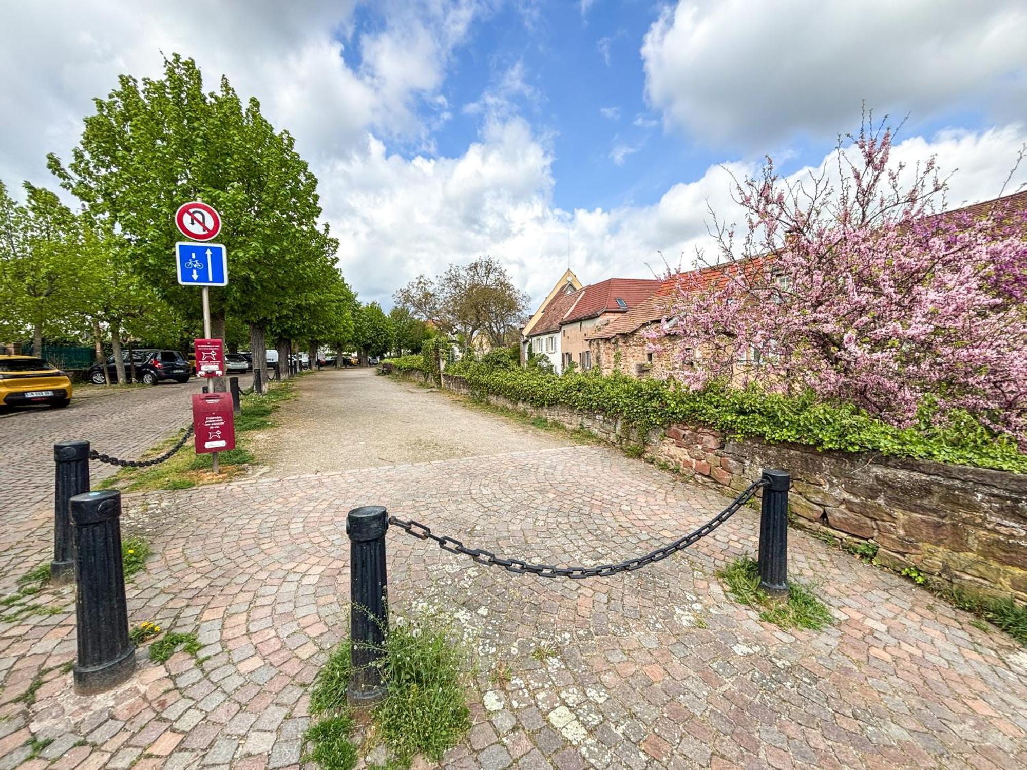 Le Pavillon Des Remparts - Commerces A Proximite - Centre-Ville - Appartement Cosy Obernai Dış mekan fotoğraf